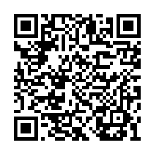 许紫烟能够承受住来自仙狱罪犯的压力就不错了二维码生成