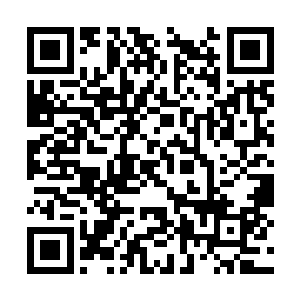 许紫烟还是如同一个雕像一般地站在那里一动不动二维码生成