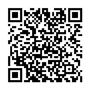 试了几次之后终于适应了新世界原力运转的规律二维码生成