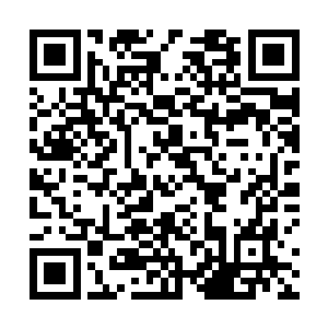试图把玫瑰力量组合从这场对话和撕逼中拉出来的想法二维码生成
