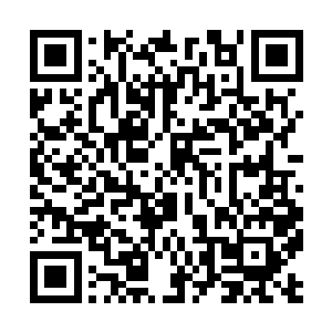 话说原来坏脾气的唐老鸭也有这么执着可爱的一面啊~~二维码生成