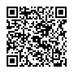 话音刚落就看到一个管事妈妈打扮的人走过来四处张望二维码生成