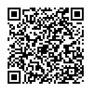说不定就是弄段假视频让给全世界已经投入重金的人工智能研究添堵二维码生成