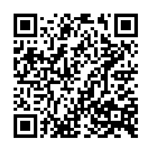 说不定现在丁羽那边就已经知晓这边是什么情况了二维码生成
