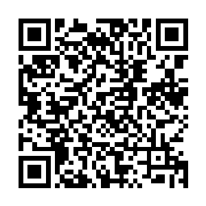 说不得还能从第五殿殿主口中知道一些关于圣羽的确切消息二维码生成