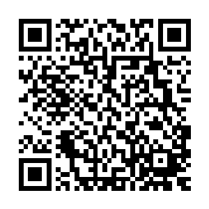 说他们珠江军的上一代元帅曾经把珠江军的大旗插在两界山城头二维码生成