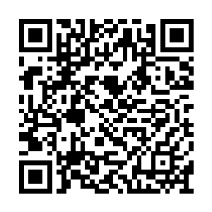 说只要是没毁了他这英俊的脸其余的都是小问题二维码生成