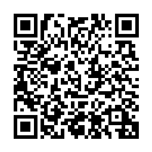 说启用一个从未接触过表演的学生仔来出演一部电视剧的男主角二维码生成