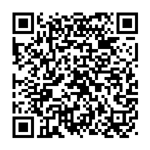 说完便将原本绑在一边树上叶璃准备用来度过悬崖的绳索收了回来二维码生成