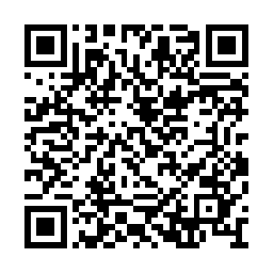 说完把手里的五张身份证还有旅游护照递给邓超二维码生成