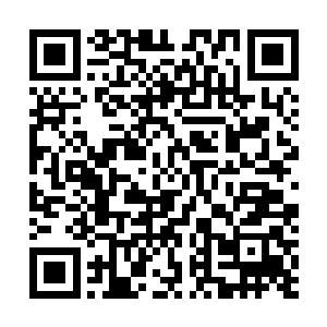 说实话她真是从来没有这样尽心尽力的去照顾一个孩子过二维码生成