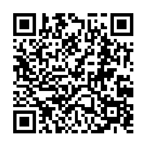 说明对方在这个照片主角身上已经是花了不少心思了二维码生成