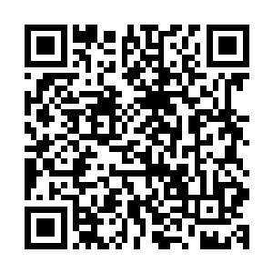 说校门口那白伶儿依然不曾离去此刻正仰头望向我们教室方向二维码生成