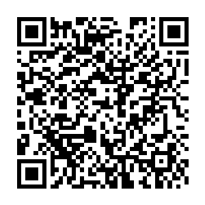 说白了……他们就是花了五秒钟的时间接受了自己命不久矣的事实二维码生成