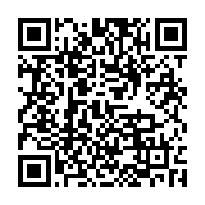 说白了这一切不过是凤君泽除掉她的一个手段而已二维码生成