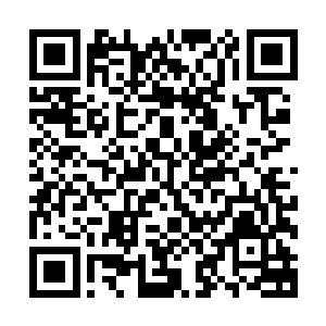 说这大海之中有珍奇的天才地宝以及洪荒猛兽杨晨也是相信的二维码生成