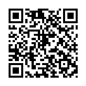 诺亚他们从上岛之后一直没什么事情要做二维码生成