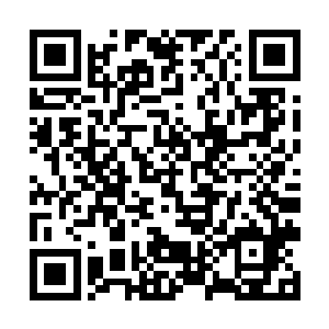谁不知道张东城超级大导演对于同性之爱持支持态度二维码生成