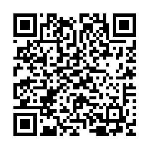 谁也不会想到这四面荒芜的火云山脉会存在传说中的造化之水二维码生成