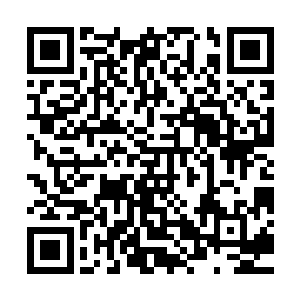 谁也不想未来的十年王者会是连两个无角人都抓不住的无能之辈二维码生成