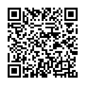 谁会为了一块价值区区几十万上品神晶的火炎金二维码生成