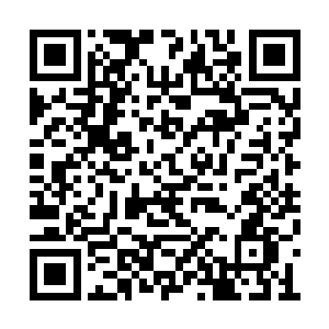 谁如果把眼前这人当作是什么都不知道的糊涂虫二维码生成