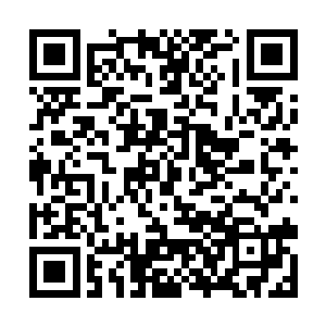 谁知战如意领着康道平也紧接着跳入了正北那面水池二维码生成