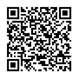 谁知道江雪看到姗姗抱着叶凡的这个亲密姿势之后二维码生成