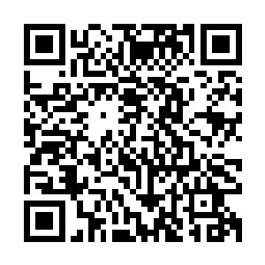 谁要敢说在法式皇宫门口挂着华夏古典风格的木匾那是流行时尚二维码生成