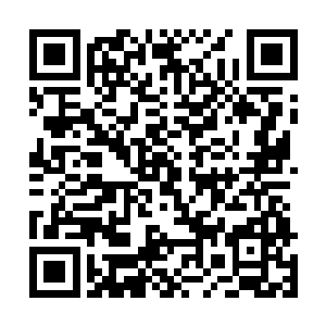 谁都知道早在夏季赛开幕之前w1便招募了新的韩国教练二维码生成