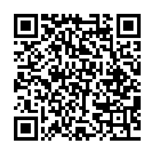 谁都能感受到叶枫身上正在凝聚一股足以让地球都粉碎的力量二维码生成