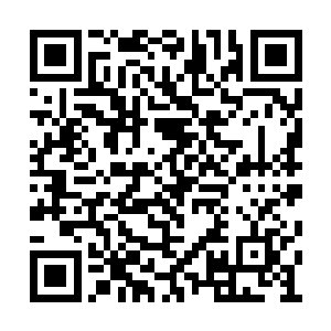 调动起这片丛林之中的元素力量融入自己的身体二维码生成