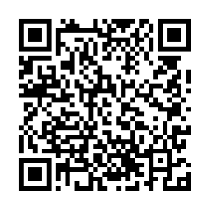 谢姝宁便见一个生得同自己早先一样圆滚滚的白胖小姑娘二维码生成