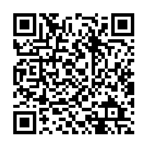 谢家在云梦泽这里独霸一方也不是什么困难的事情二维码生成
