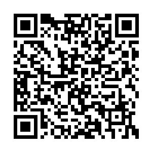谢尔盖在他身边用柯林斯将军自己的手枪对着他二维码生成