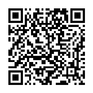 谢柔嘉从江铃手里接过碟子走过去依在谢大夫人身边二维码生成