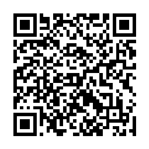谢清溪还以为这南瓜跟小龙虾一样都是国外后传过来的二维码生成