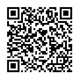 谢清骏在谢清溪把话都说的明明白白清清楚楚的时候二维码生成