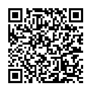 谢谢梦中孤独客酒醉遥望伊人会计机构负责人与排龙湾的打赏二维码生成