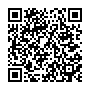 貌似曾经有一次自己就差点想到一座庵中去当姑子了二维码生成