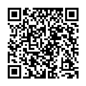 贝枢和万里无邪的对战地点选择在三号小镇郊外的北面荒原reads二维码生成