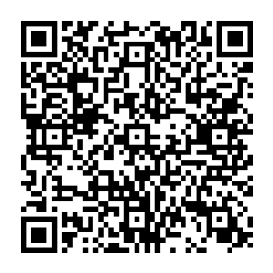 贝海说实话透过这两只小胖手的缝儿都能看到小树枝的长短不过贝海还是装作没看到二维码生成