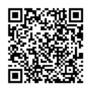 贝海还以为这一对狐夫妻有什么毛病生不了小崽儿呢二维码生成