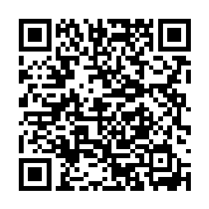 贝海这才给捣蛋鬼传了个消息让它他劳伦给驮回来二维码生成