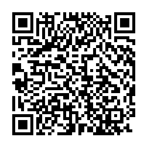 贝海这边捞的是大西洋公海里的缩减什么之海捕捞量和自己没什么关系二维码生成