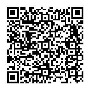 贝海这边看完了放下了小望远就镜然后划着自己的小椰木船就像着自己家的这边划了过去二维码生成