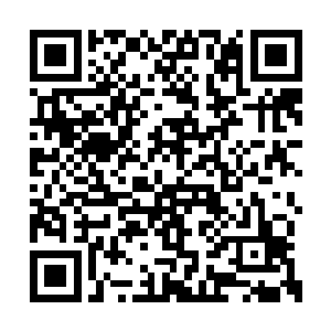 负责正宫行动的辑毒组组长袁伟武快步赶了过来二维码生成