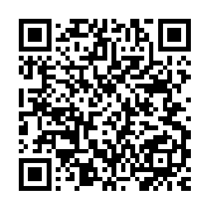 贵妃勋贵大臣受自己的指挥这几乎已经是一个臣子的巅峰荣耀了二维码生成