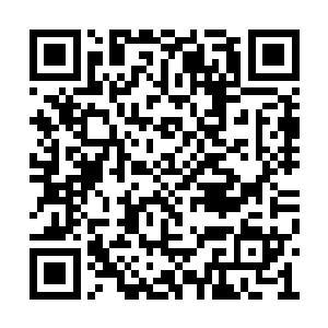 贺师兄和黑痣青年的手中突然都多出了一块元玉二维码生成