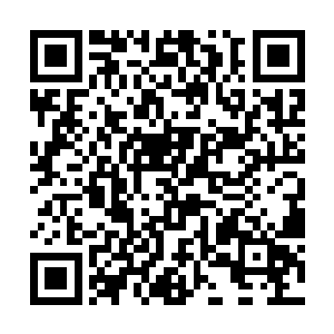 资料是今天一大早电影工业协会发布的正式统计数据二维码生成